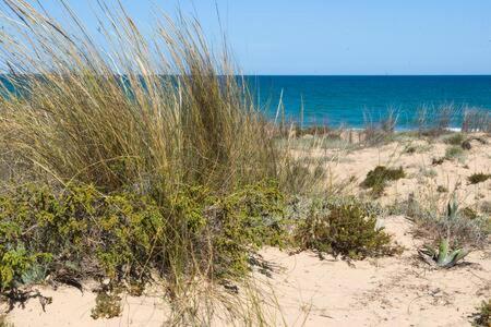 Casa Felipa, Una Estancia Unica En La Costa Blanca Guardamar del Segura Esterno foto