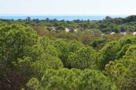 Casa Felipa, Una Estancia Unica En La Costa Blanca Guardamar del Segura Esterno foto